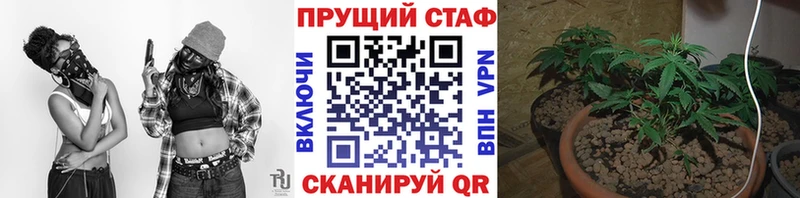 Что такое Игра Псилоцибиновые грибы ГАШИШ МАРИХУАНА КОКАИН