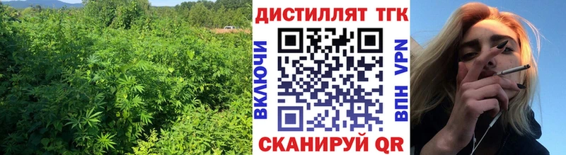 Дистиллят ТГК гашишное масло  где можно купить наркотик  Игра 